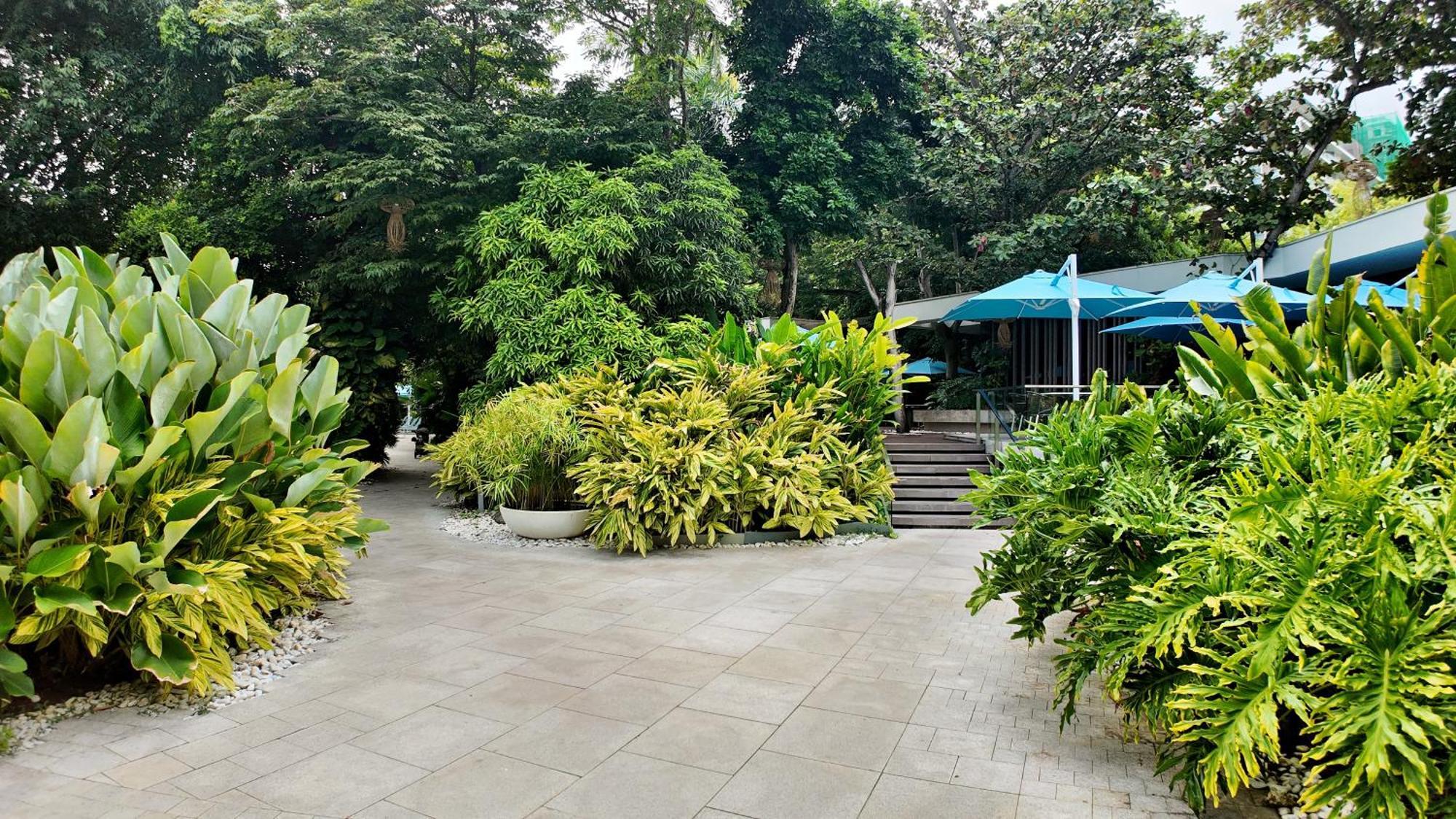 Dominiks Quite And Elegant Studio Ocean View Pool At Tambuli Resort High Floor Lapu-Lapu City Exterior foto